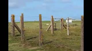 Hawk 2 Jet Take Off Crash Video Anglesey