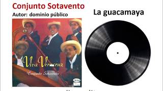 La Guacamaya - Conjunto Sotavento De Nacho Fierro