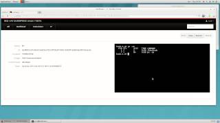 Linux containers and application isolation - Cockpit for Docker terminal interaction