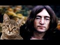 John Lennon a cat lover?