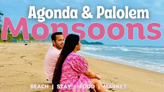 EP 3 - Palolem and Agonda - The REAL GEMS of South Goa | Goa's Most famous Beaches