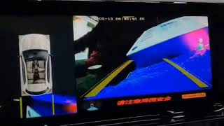 CARTIZAN DS7 12.3"  Camera/CarPlay/Android auto integration is ready！