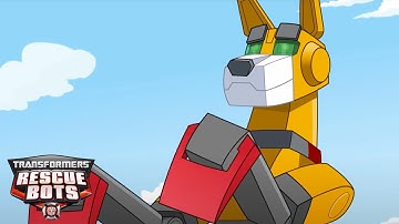 Servo Saves the Day! 🐕🤖 Kids Cartoon | Transformers Rescue Bots | Transformers TV