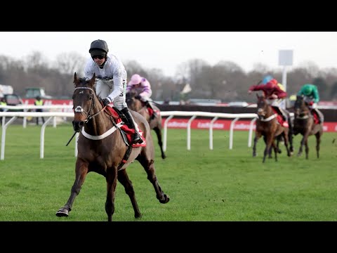 Constitution hill lands second christmas hurdle in facile fashion