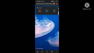 how to download k. g. f. chapter 2 movie in hindi||k.g.f. 2movie in hindi|| follow the step in video screenshot 4