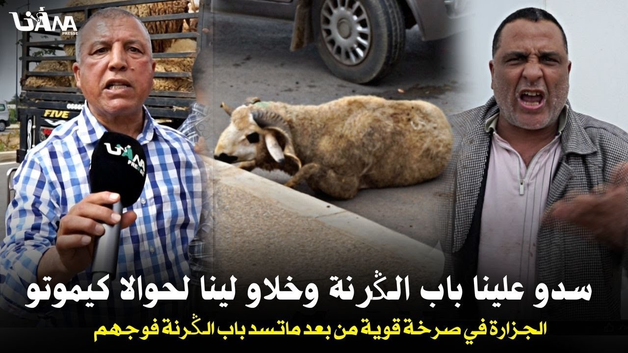 فضـ.يحة قدام الكرنة فبوقنادل عشرات الشاحنات محملة بالمئات ديال لحوالة حابسينهم فلباب ولخرفان كيمو.تو