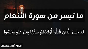 ما تيسر من سورة الانعام | القارئ أمين طنيطين