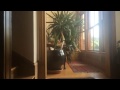 Tour this $750,000 Springfield mansion in 50 seconds