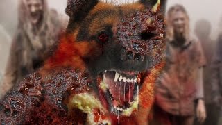 Zombie Dogs SB-16 Book 2