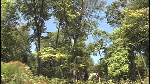 Near Balance Point Rigging Tutorial.mov