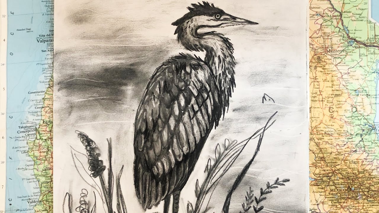 Drawing a Heron | Time Lapse | Charcoal drawing | art class | Makings and Musings | Draw with me