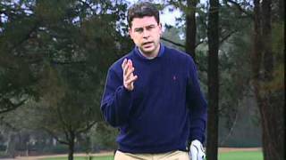 Tips Plus: Tiger Woods (May 2011)