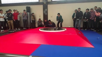 Epic Sumo Robot Slow Motion @240fps - Shreddinger (4th place) - Japan