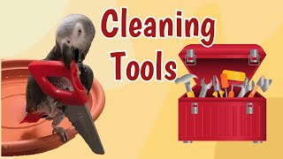 Einstein the Parrot Cleans His Tools! 🛠️🦜 Resimi