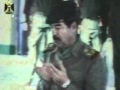 سلطان الزهراني سيف العرب 