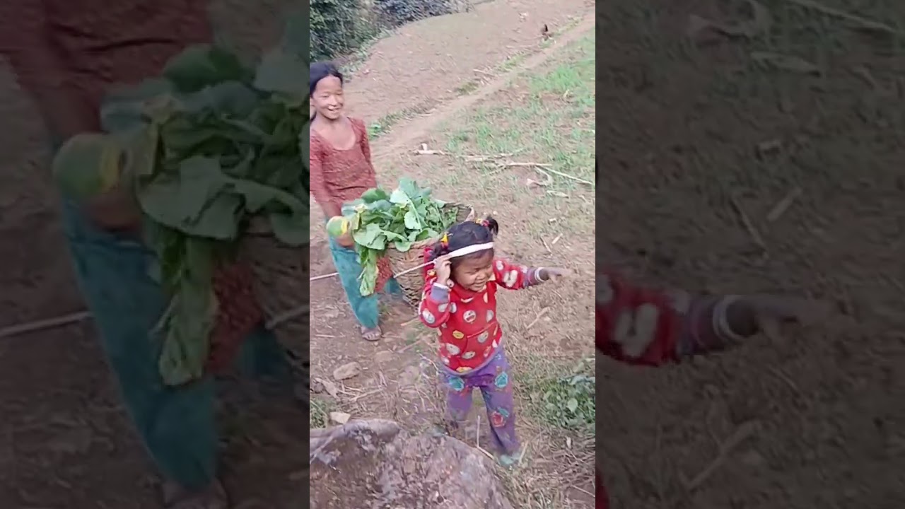 very hardworking nepali children 