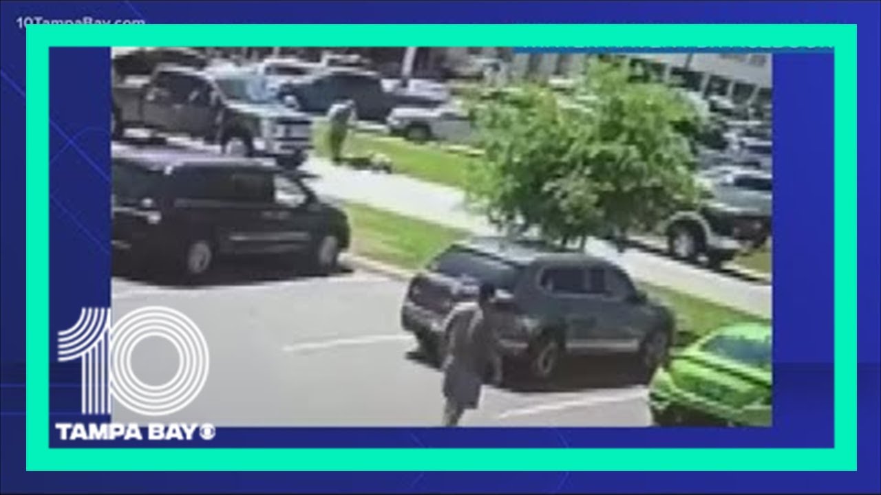 Winter Haven police searching for driver who punched 73-year-old man ...