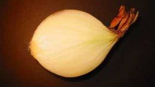 Elektronik Schmeckt Zitronik