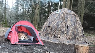Camping with Buster | Hot Tent & Dog Tent