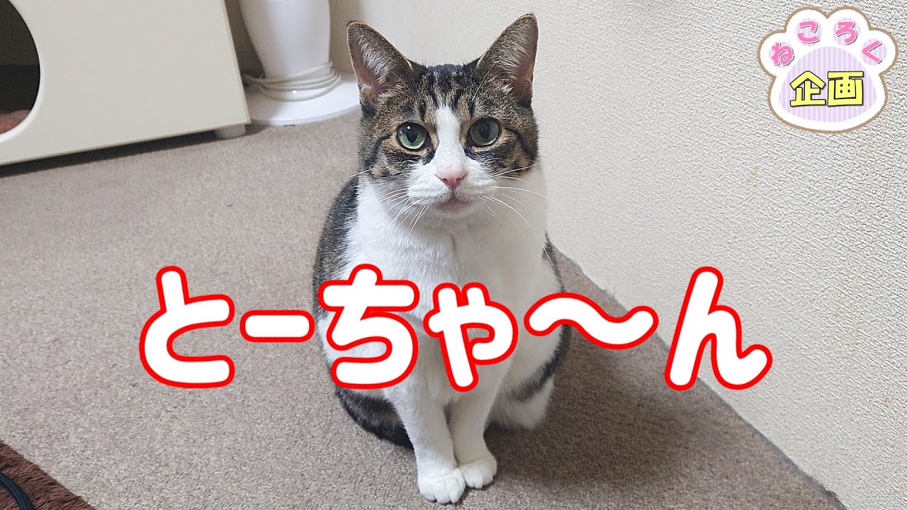 ねころく様 maxresdefault.jpg