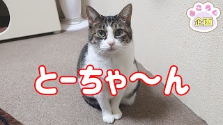 ねころく様 mqdefault.jpg