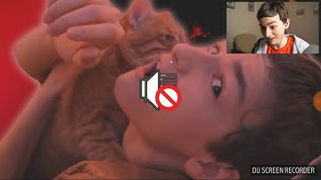 Смешные моменты | The Brain Maps