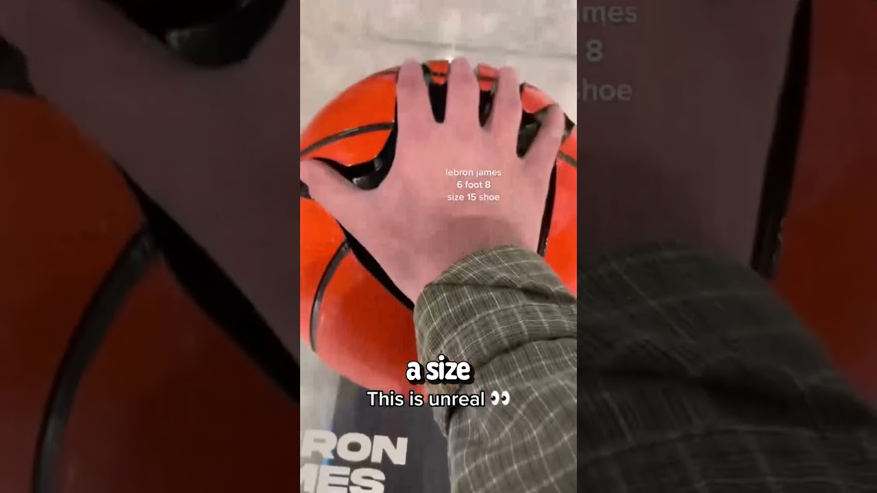 NBA Players Size Comparison   Shaq's Hands are Huge