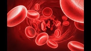 Видео О чём свидетельствует низкий уровень гемоглобина. Возможные причины (автор: Остроумно)