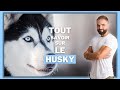 Race de chien husky  caractre dressage comportement sant de ce chien de race