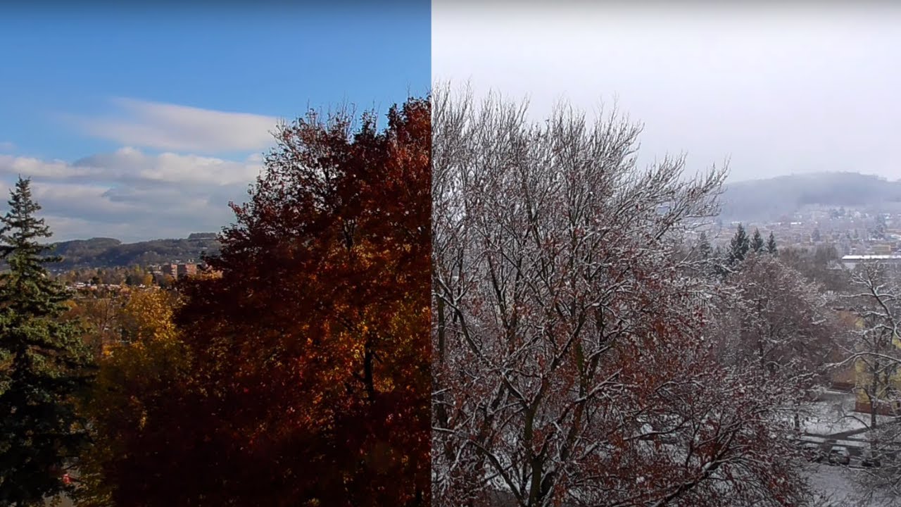 Podzimní PROMĚNA STROMU | Autumn tree TRANSFORMATION #manfromnature