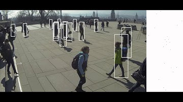 People Detection Wildtrack