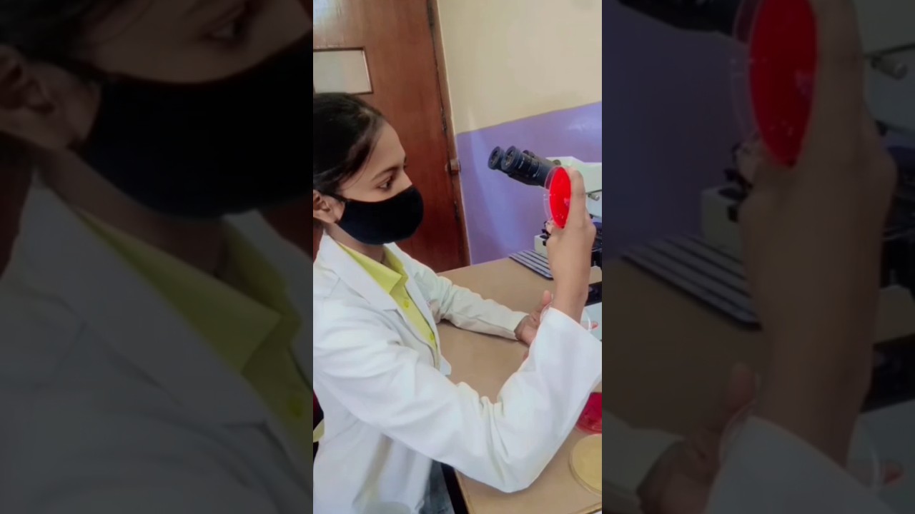 culture preparation...... 🧫