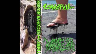 Landfill - Split w/ Bathtub Barracuda (Full Landfill Side of Split 2017) [Grindcore]