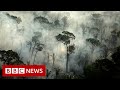 New video by BBC News on YouTube