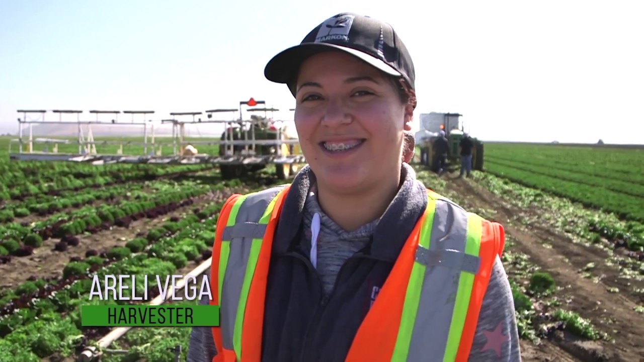 Day in the Life of a Case