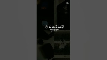 🤲 إن الذين قالوا ربنا الله تلاوة خاشعة من الذكر الحكيم  #cute #دويتو #duet #لايك