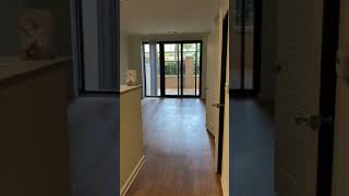 1A - 565 sq ft 1br/1ba with terrace and courtyard view!