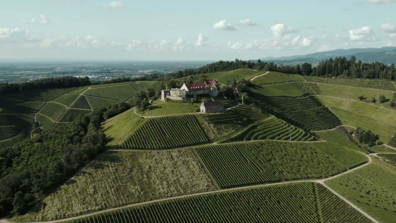 Staufenberg Castle and Vineyards