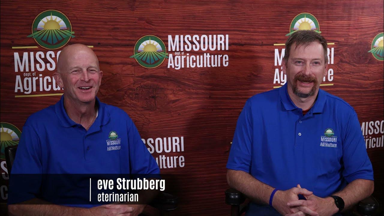 The MORE You Know Can you sell animals online? YouTube