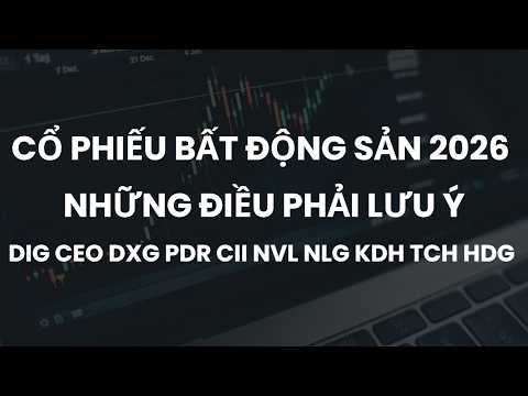 CỔ PHIẾU BẤT ĐỘNG SẢN 2026 | NHỮNG ĐIỀU PHẢI LƯU Ý | DIG CEO CII PDR NVL DXG NLG HDG TCH