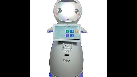 Snow Bot by CsjBots|Aldous Robotics|Malayalam Audio