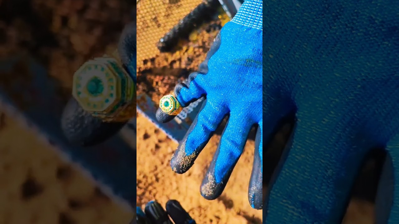 Beach Cleanup Turned Shocking!