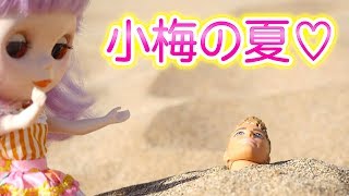 ブライス人形 小梅のハワイデート ♡ 英会話シリーズ２【 こうじょうちょー  】BlytheDoll 人形劇
