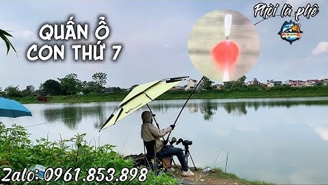 Câu lục. Quấn ổ con thứ 7, buổi câu lê tê phê. Fishing