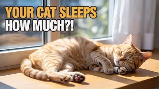 Why Do Cats Sleep So Much? The Shocking Truth Revealed!