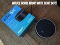Connect Echo Dot to Whole Home Audio 🎶