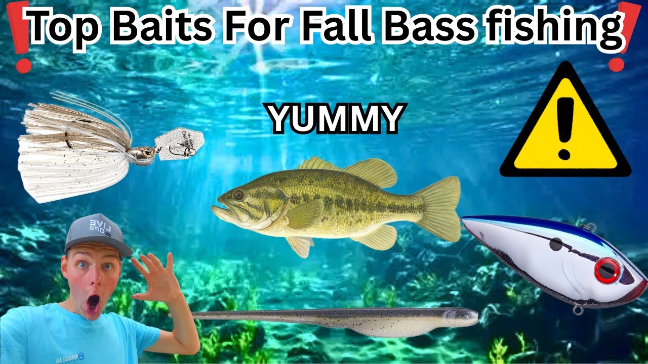 Top 5 Baits For Fall Bass Fishing!!!