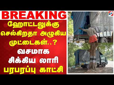 ஹோட்டலுக்கு செல்கிறதா அழுகிய முட்டைகள்..? வசமாக சிக்கிய லாரி - பரபரப்பு காட்சி