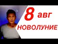 Новолуние во Льве 8 августа гороскоп Павел Чудинов