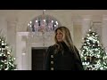 2025 Christmas Decorations at the White House